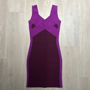 Express Bodycon Dress